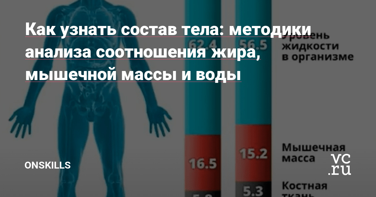 Как узнать состав тела: методики анализа соотношения жира, мышечной массы и воды — OnSkills на vc.ru